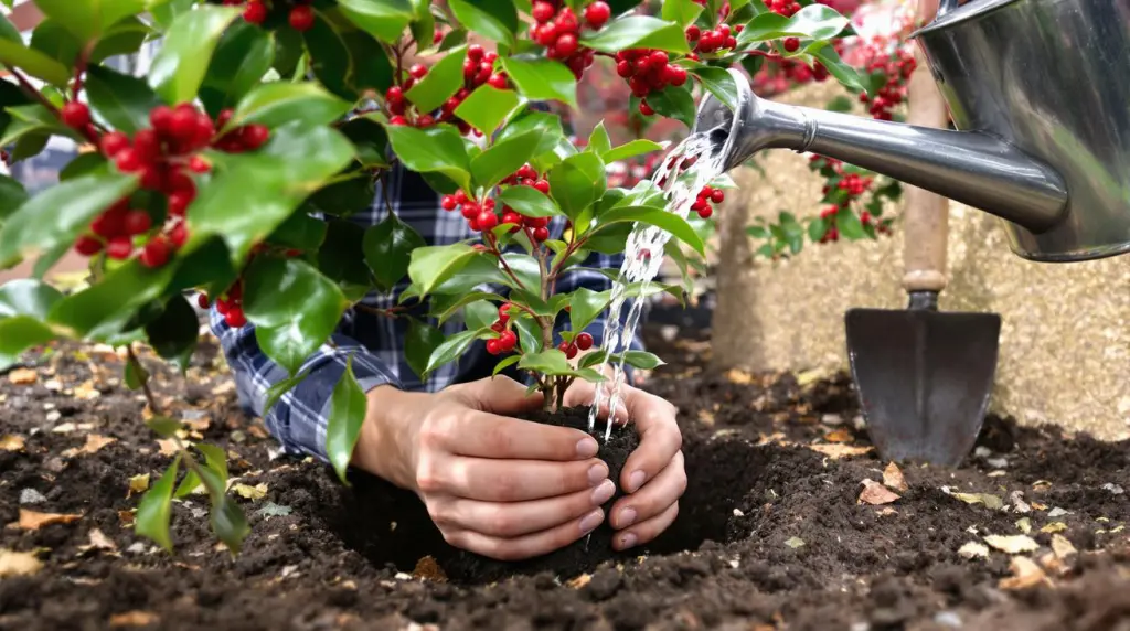 Voici la plante magique à planter en mars pour attirer la chance et le renouveau !